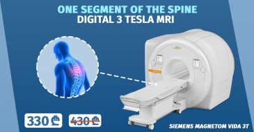 Magnetic resonance imaging of one segment of the spine